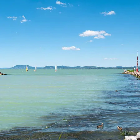 In - Balaton 19048 Balatonlelle